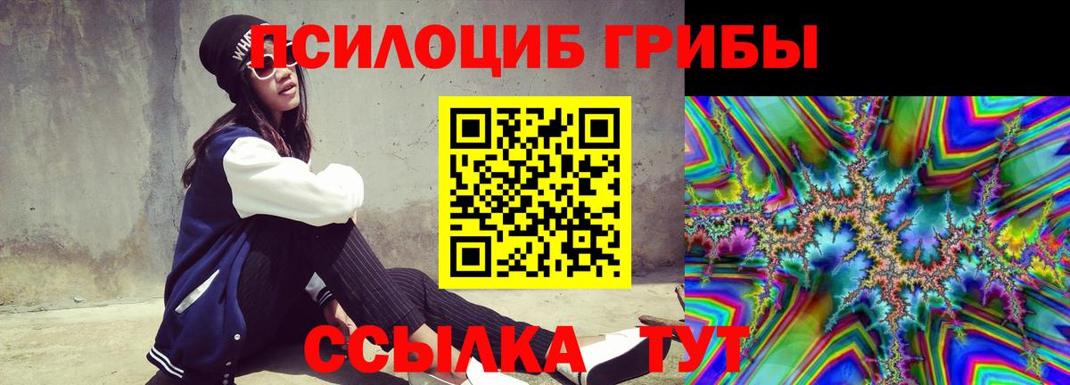 Псилоцибиновые грибы ЛСД  Псилоцибиновые грибы Psilocybine cubensis  где купить наркоту  Батайск  Вход с VPN 